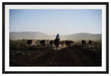 Mosey Along Fine Art Print, Black, 30"x45"