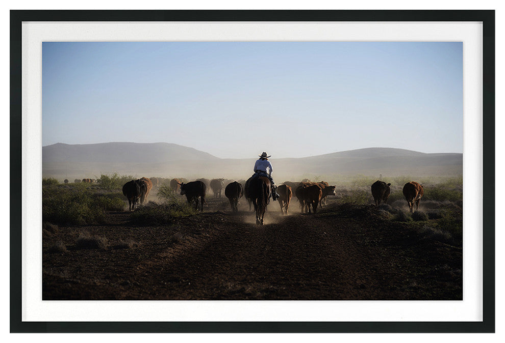 Mosey Along Fine Art Print, Black, 30"x45"