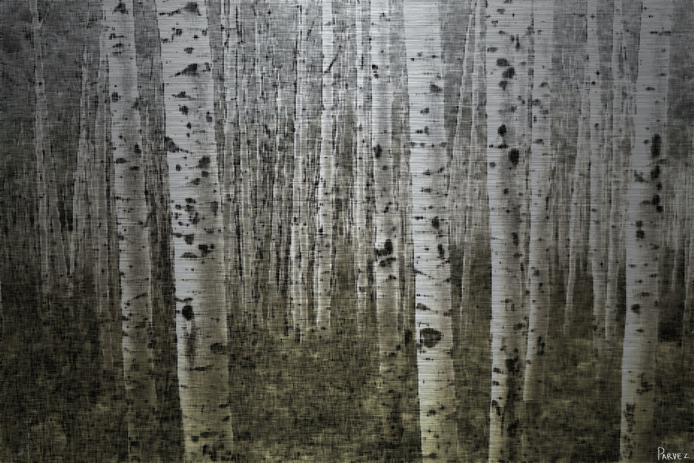 "Aspen Highlands" UV Ink Print on Brushed  Aluminum, 36"x24"