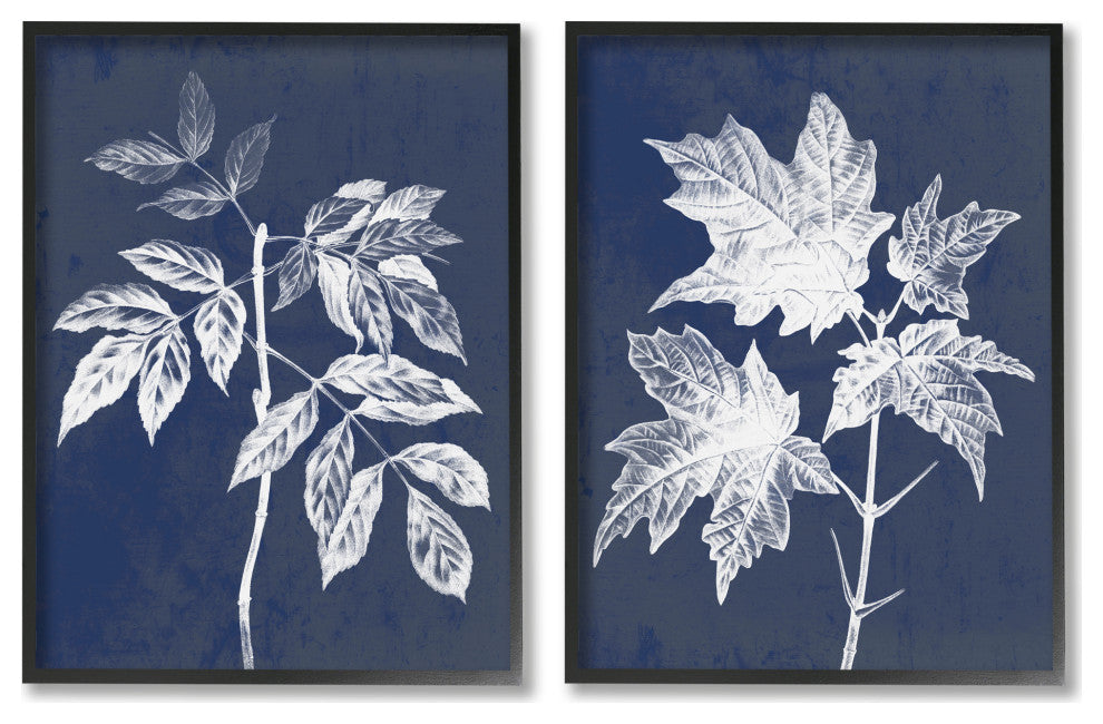 Maple Leaf Elm Stem Vintage Blue White Illustration,2pc, each 11 x 14