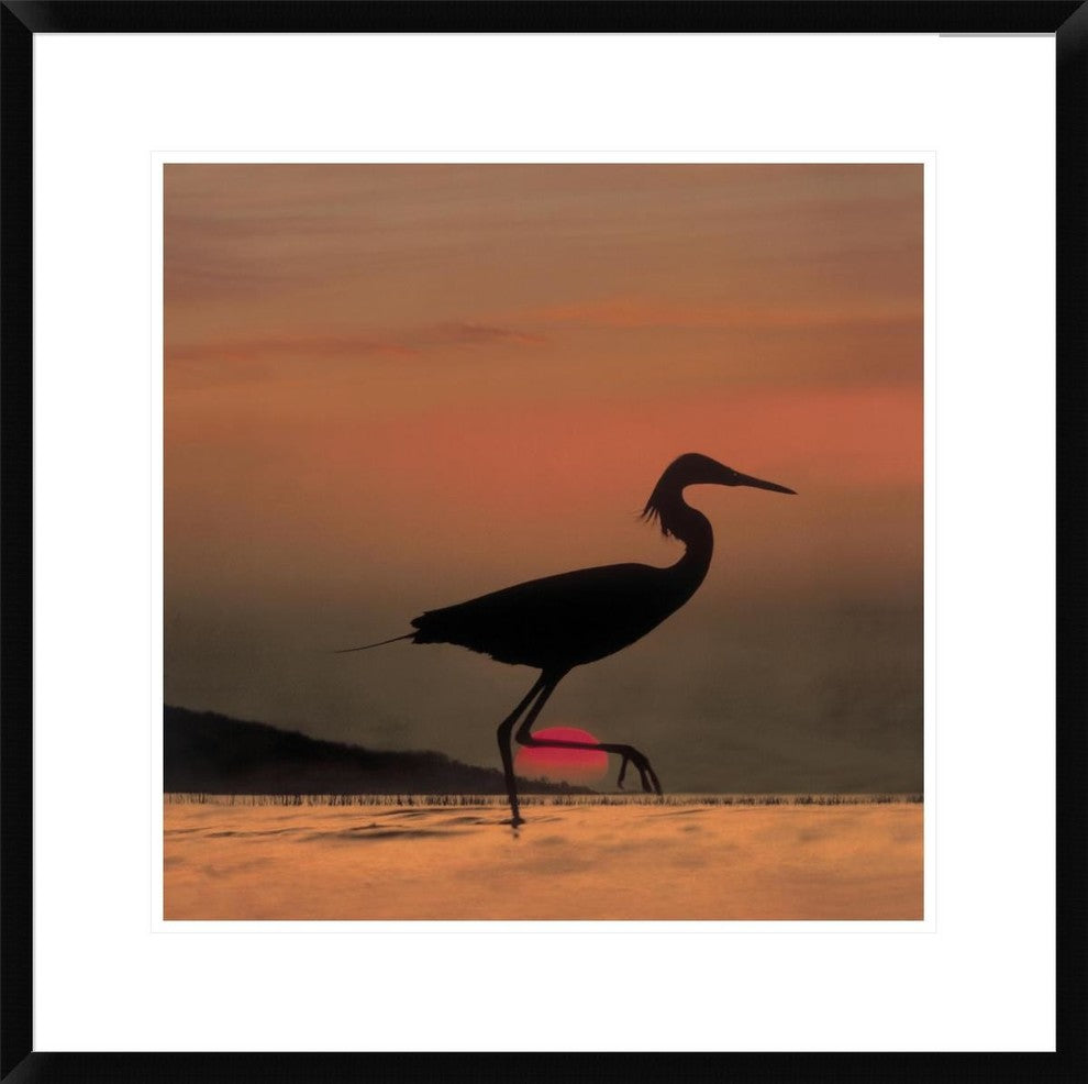 "Little Egret silhouetted at sunset, Africa"  by Tim Fitzharris, 26x26"