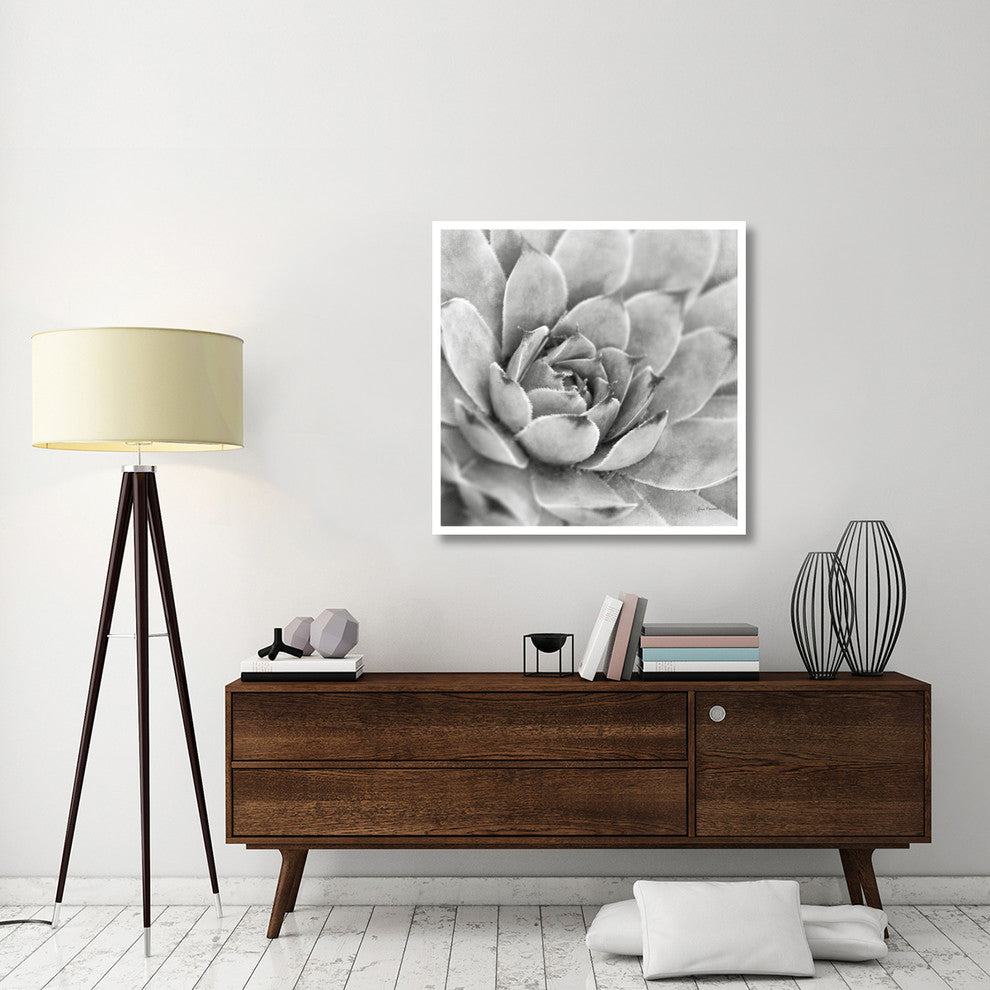 "Garden Succulent IV" Digital Paper Print by Laura Marshall, 38"x38"