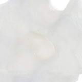 Uttermost Remnant Sculptures, Set of 2