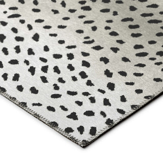 Safari Asf33 Pearl 3'' X 5''