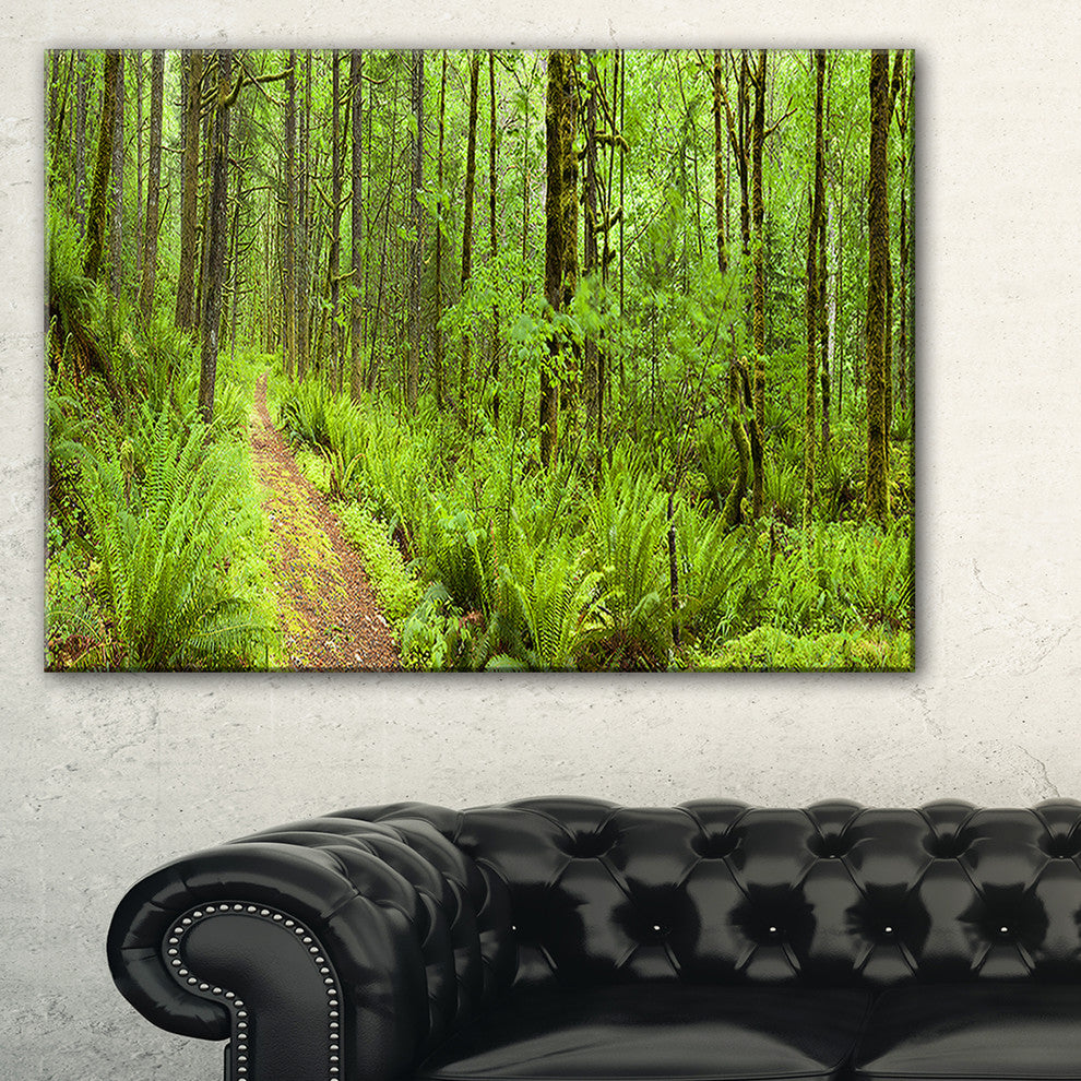 "Lush Forest Path Columbia River" Forest Wall Art Print, 32"x16"