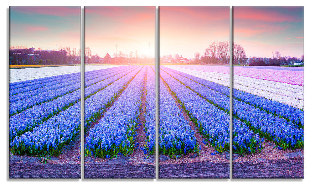 "Field of Blooming Hyacinth Flowers" Canvas Print, 4 Panels, 48"x28"