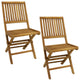 Sunnydaze Nantasket Teak Outdoor Folding Patio Chair With Slat back, 2