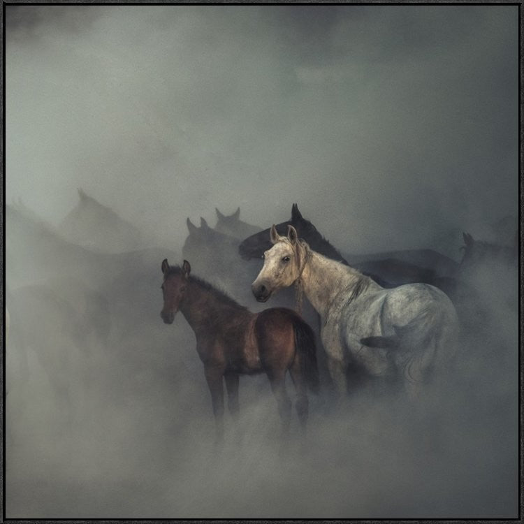 "The Lost Horses" Framed Canvas Giclee by Huseyin Taskin, 41x41"