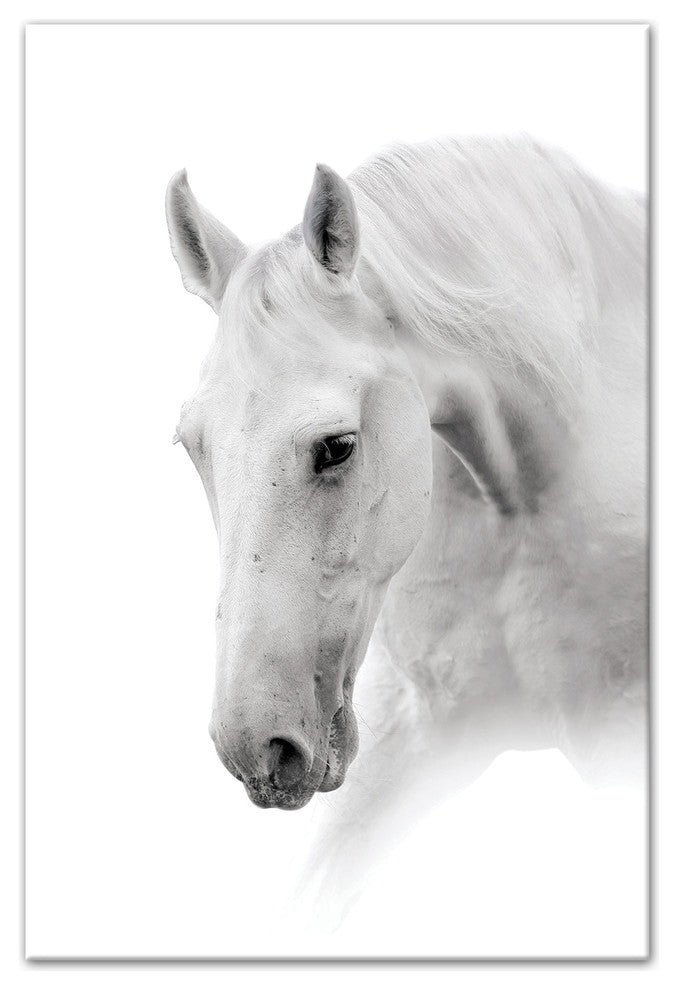 White Horse 24x36 Canvas Wall Art