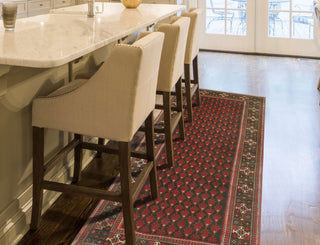 Vintage Distressed Bethzy Charcoal/Red Runner, 4'2x9'6