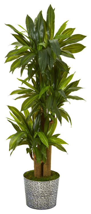 Full product view on a white background, front-facing, with planter visible and no overlays—suitable as primary product image.