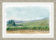 Vineyard Estate 4, Giclee Reproduction Artwork
