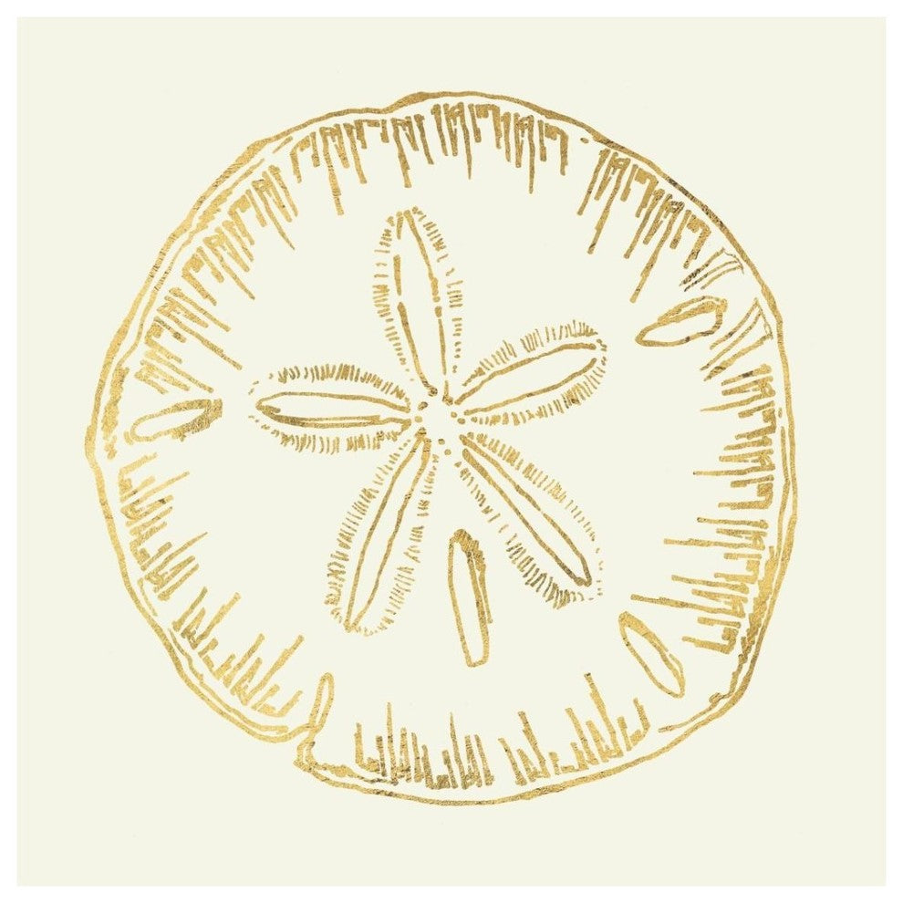 "Coastal Breeze Shell Sketches IV" Paper Print by Anne Tavoletti, 38"x38"