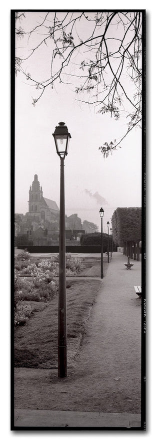 Alan Blaustein 'Blois Parc' Canvas Art, 8x24