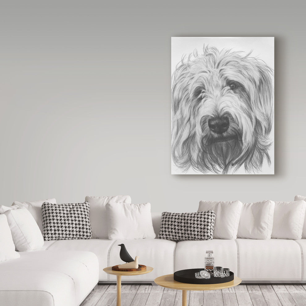 "Labradoodle" by Barbara Keith, Canvas Art