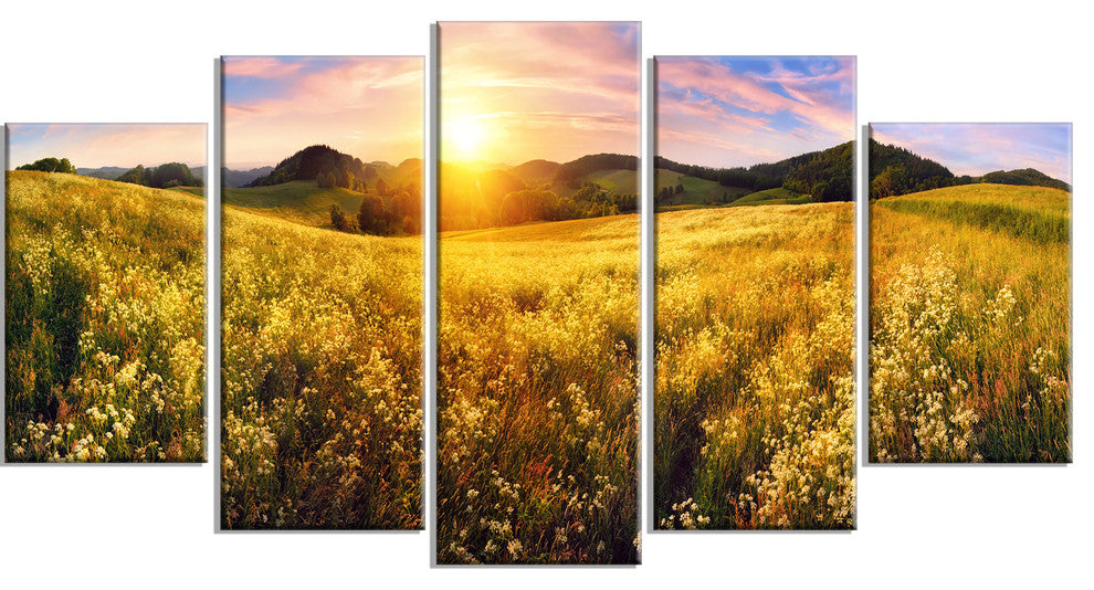 Beautiful Meadow Panorama, Landscape Canvas Art Print, 60"x32", 5 Panels