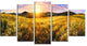 Beautiful Meadow Panorama, Landscape Canvas Art Print, 60"x32", 5 Panels