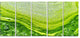 Polluted Water With Algae in Green, Abstract Canvas Artwork, 60"x28", 5 Panels
