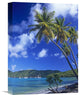 "Palm Trees At Maho Bay, Virgin Islands" Artwork, 12" x 16"