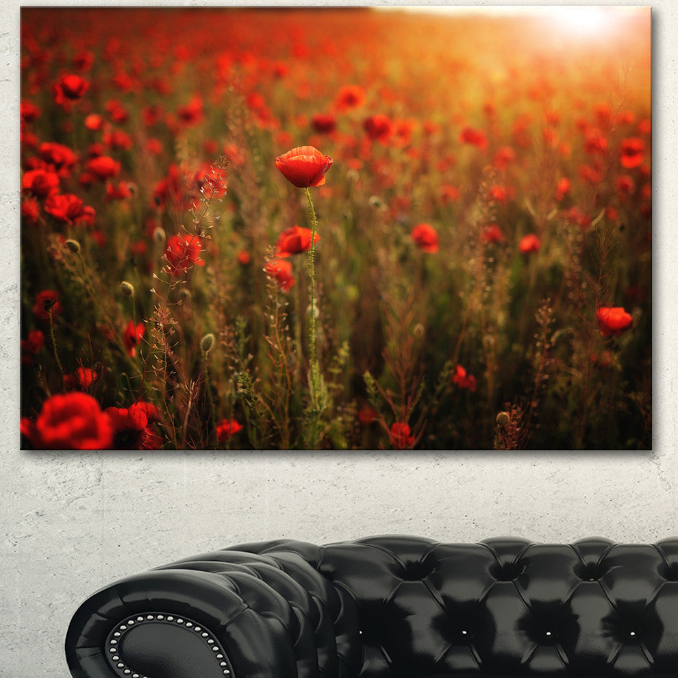 Dense Poppy Field At Sunset, Floral Canvas Art Print, 40"x30"