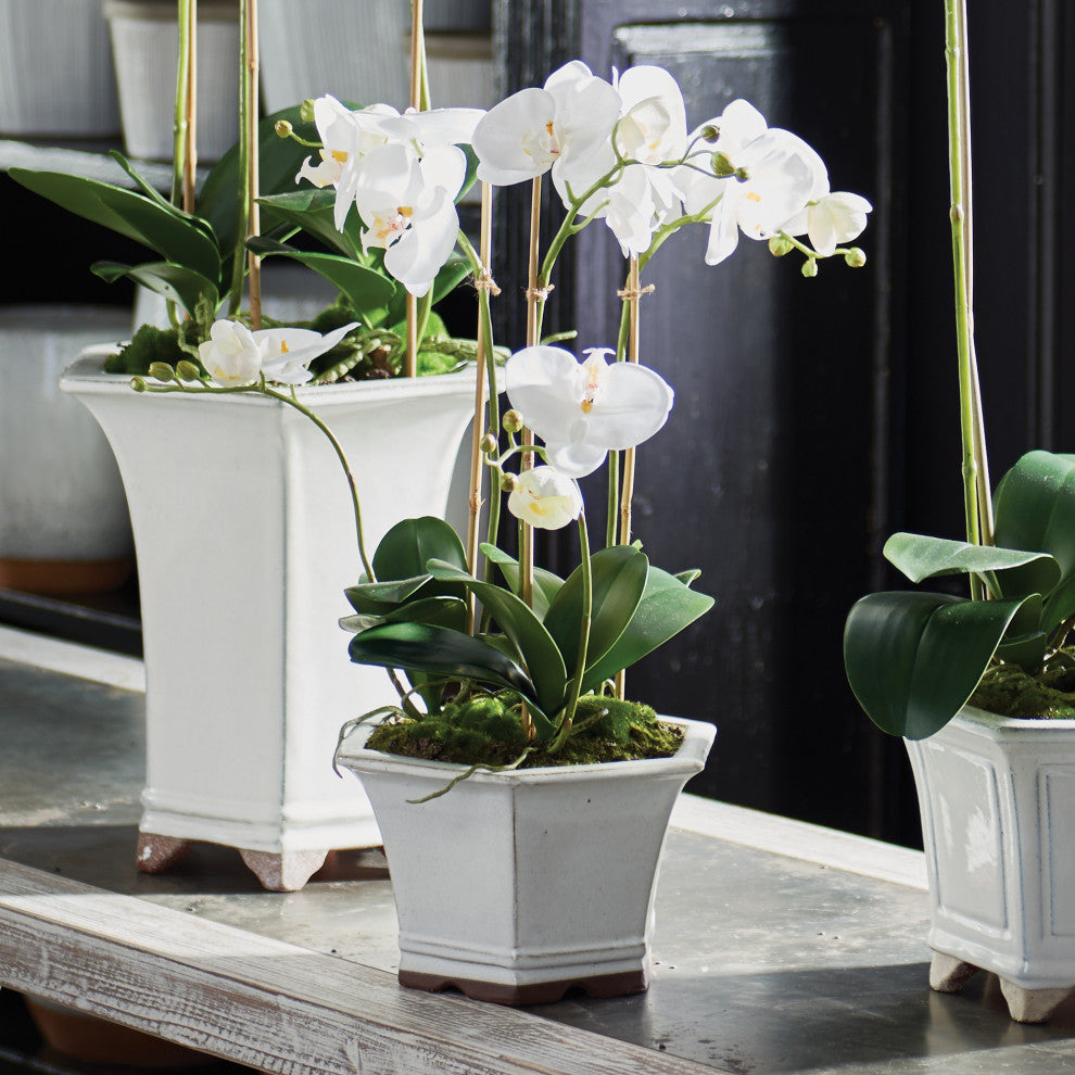 Barclay Butera White Orchid in Ceramic Pot, Pot: 9.5x9.5x5