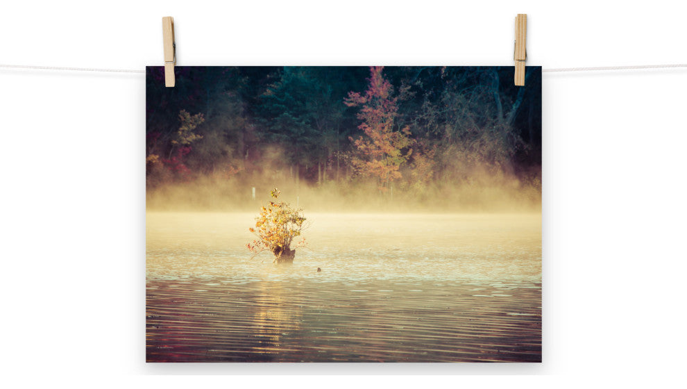 Golden Mist on Waples Pond Landscape Photo Unframed Wall Art Print, 12" X 16"