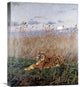 "Tiger In The Rushes" Stretched Canvas Giclee by Geza Vastagh, 18"x22"