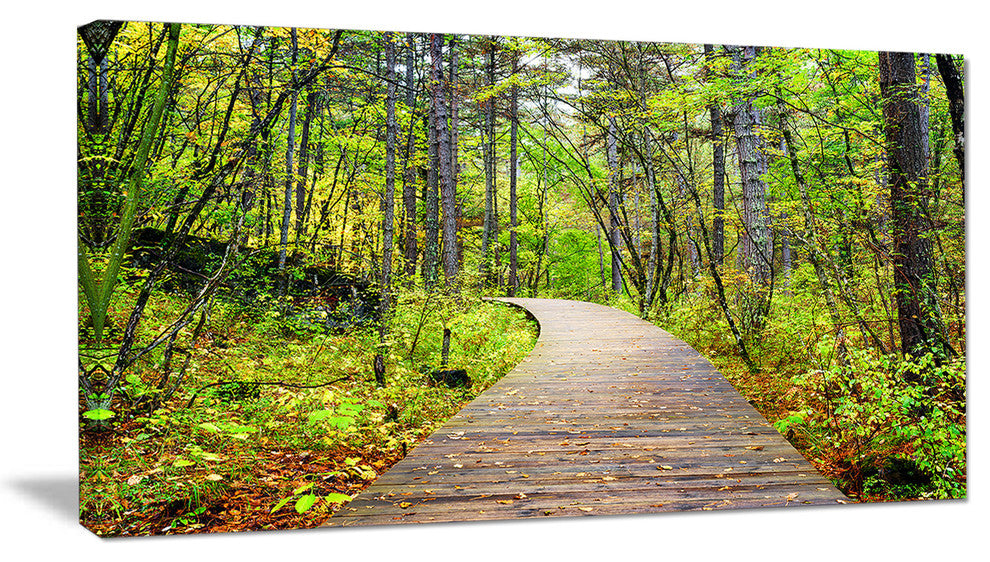 Wooden Boardwalk across Forest, Landscape Canvas Art Print, 40x20