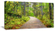 Wooden Boardwalk across Forest, Landscape Canvas Art Print, 40x20