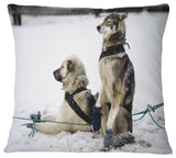Large Sled Dogs Relaxing Animal Throw Pillow, 16"x16"