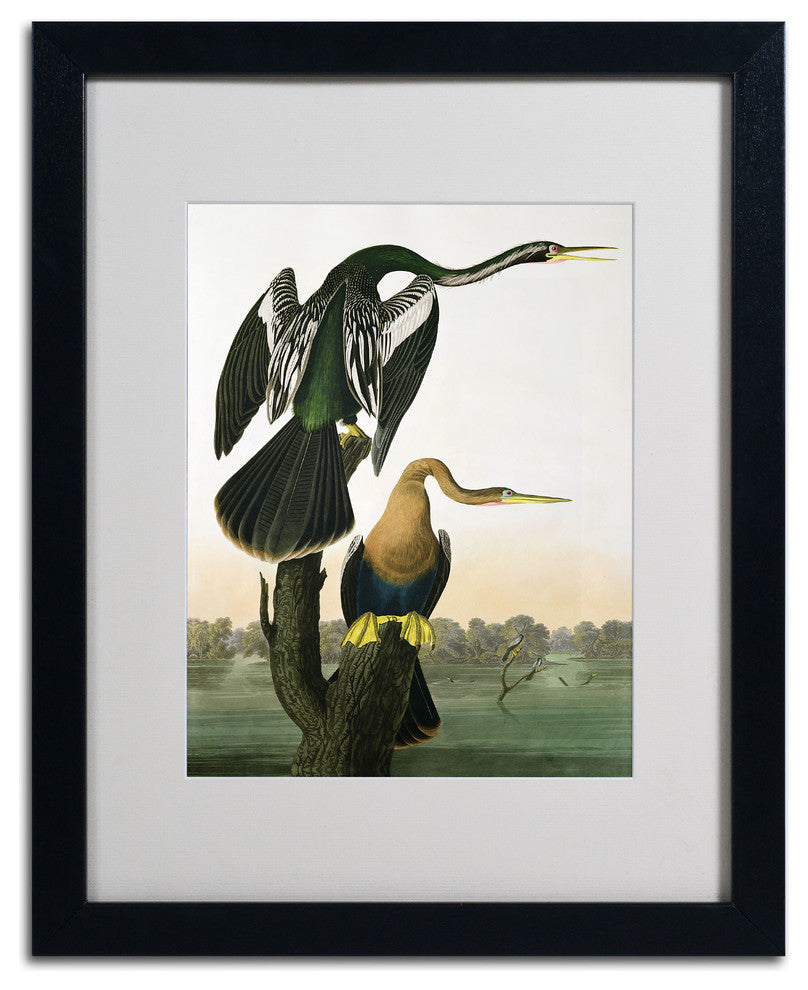 'Black-Billed Darter' Matted Framed Canvas Art by John James Audubon