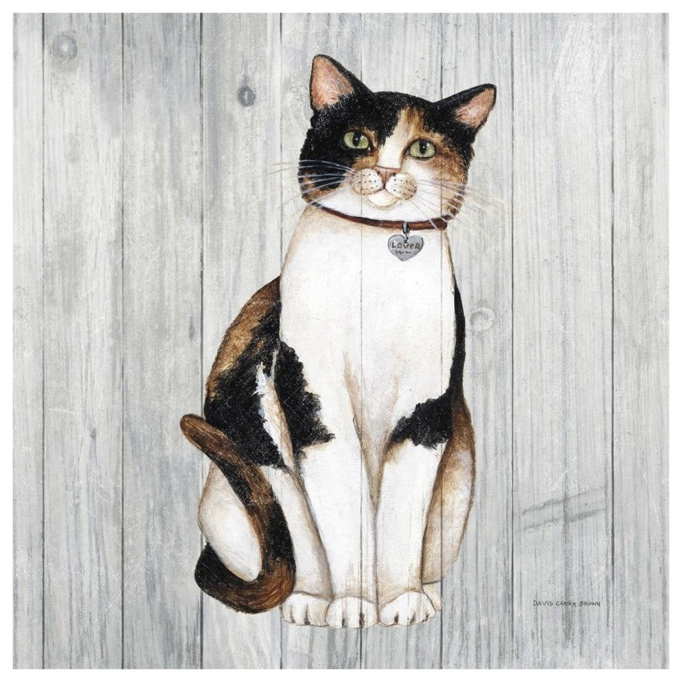 "Country Kitty III on Wood" Digital Paper Print by David Carter Brown, 38"x38"