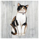 "Country Kitty III on Wood" Digital Paper Print by David Carter Brown, 38"x38"