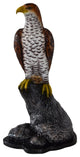 Eagle Standing on a Rock Looking for Prey Size: 10" x 13" x 22"H