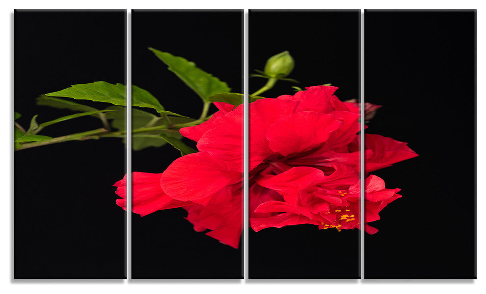 Bright Red Hibiscus on Black, Large Floral Canvas Art Print, 48"x28", 4 Panels