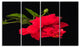 Bright Red Hibiscus on Black, Large Floral Canvas Art Print, 48"x28", 4 Panels