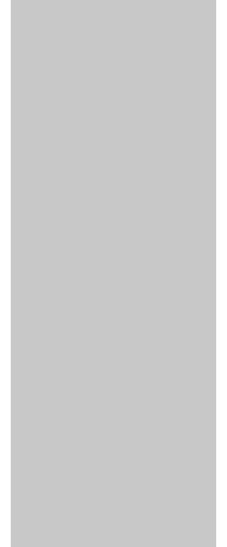 Slab Barn Door Panel 24 x 96 | Planum 0010 Matte Grey