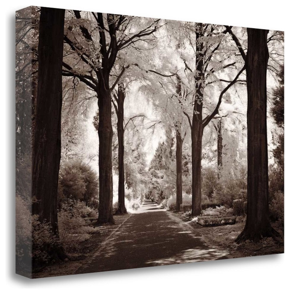 "Arcadia" By Ily Szilagyi, Giclee Print on Gallery Wrap Canvas, Ready to Hang