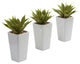 Mini Agave With Planter , Set of 3White
