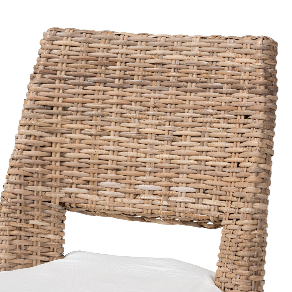 Maria 2-Piece Dining Chair Set With Cushion, Gray Natural Rattan & Metal