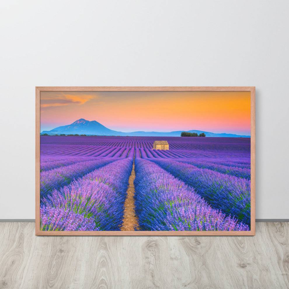 Blooming Lavender Field and Sunset Floral Landscape Framed Photo Wall Art Prints, Red Oak, 24" X 36"