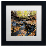 'Lakeview Autumn Falls' Matted Framed Canvas Art by Kurt Shaffer