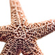 "Basket Stars" Wood, 30"x30"