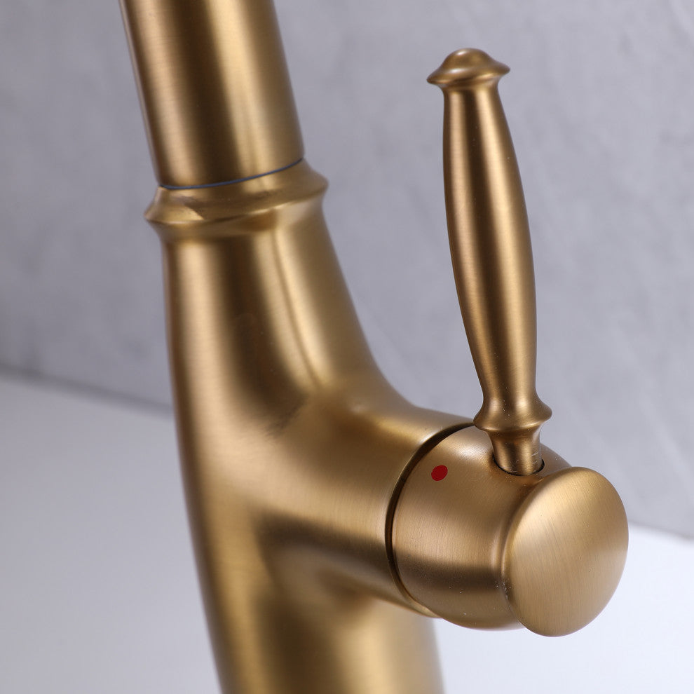 Dual-Function Pull Out Kitchen Faucet With Single Handle and Swivel Spout