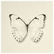 "Butterfly II - BW" Digital Paper Print by Debra Van Swearingen, 26"x26"