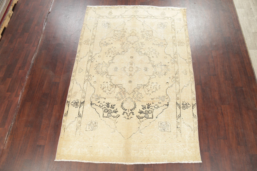Consigned, Traditional Vintage Oriental Handmade Persian Area Rug, Beige, 6x10