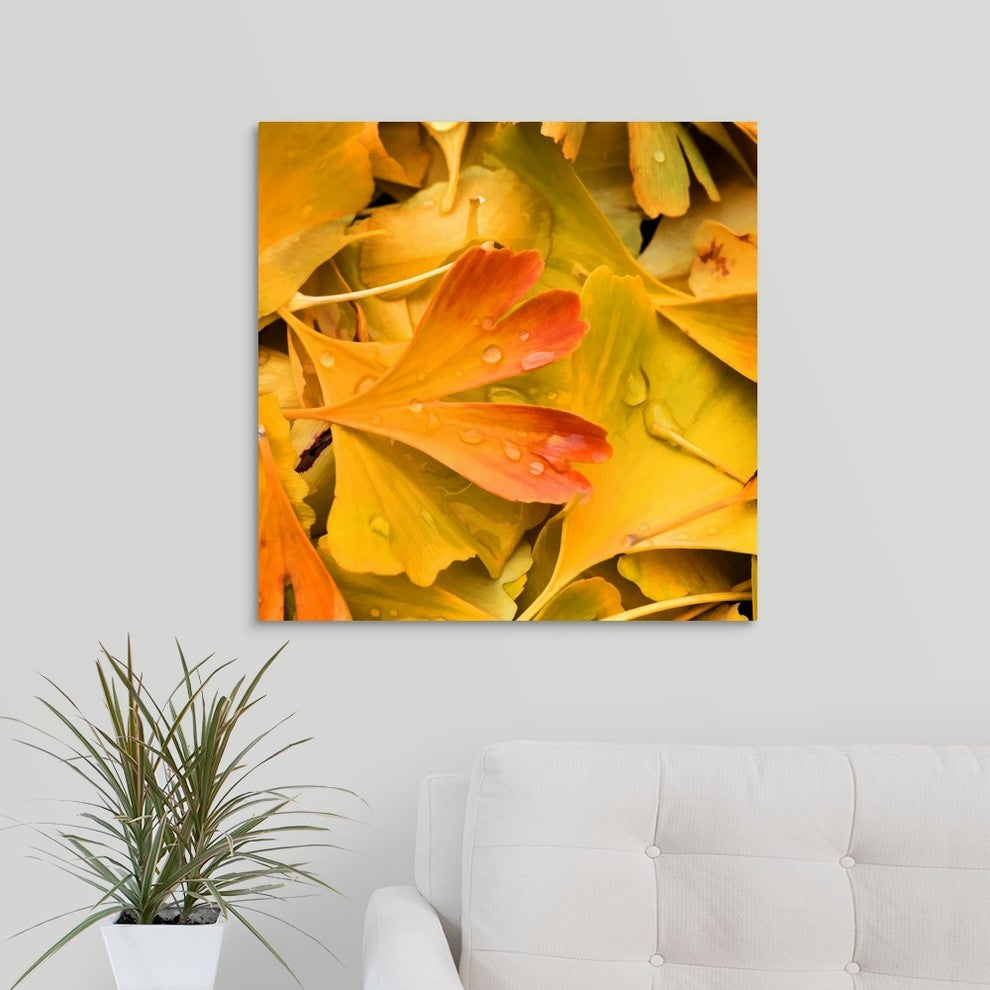 "The Fresh Morning Dew" Wrapped Canvas Art Print, 24"x24"x1.5"