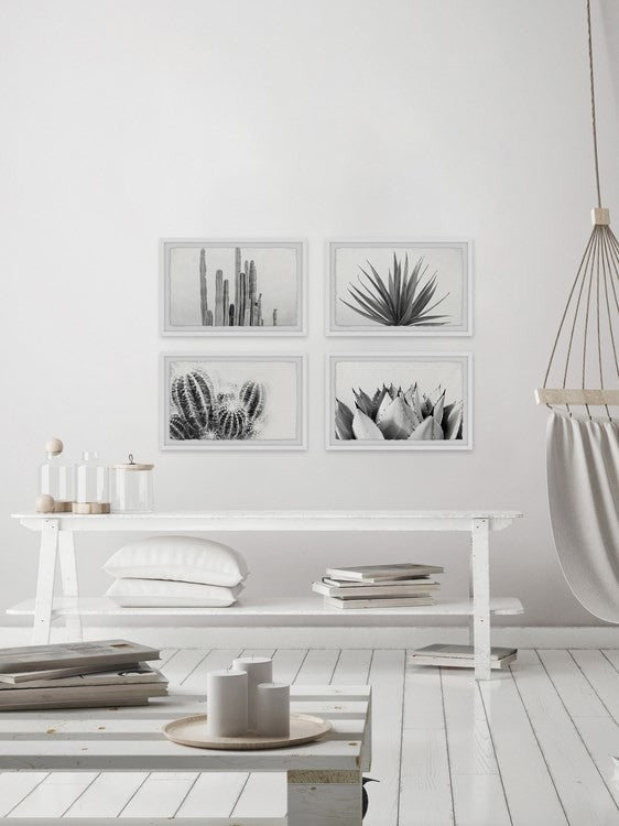 Cactus Kinds Quadriptych, 24"x16"