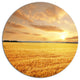 Field Under Cloudy Sky, Landscape Disc Metal Artwork, 11"