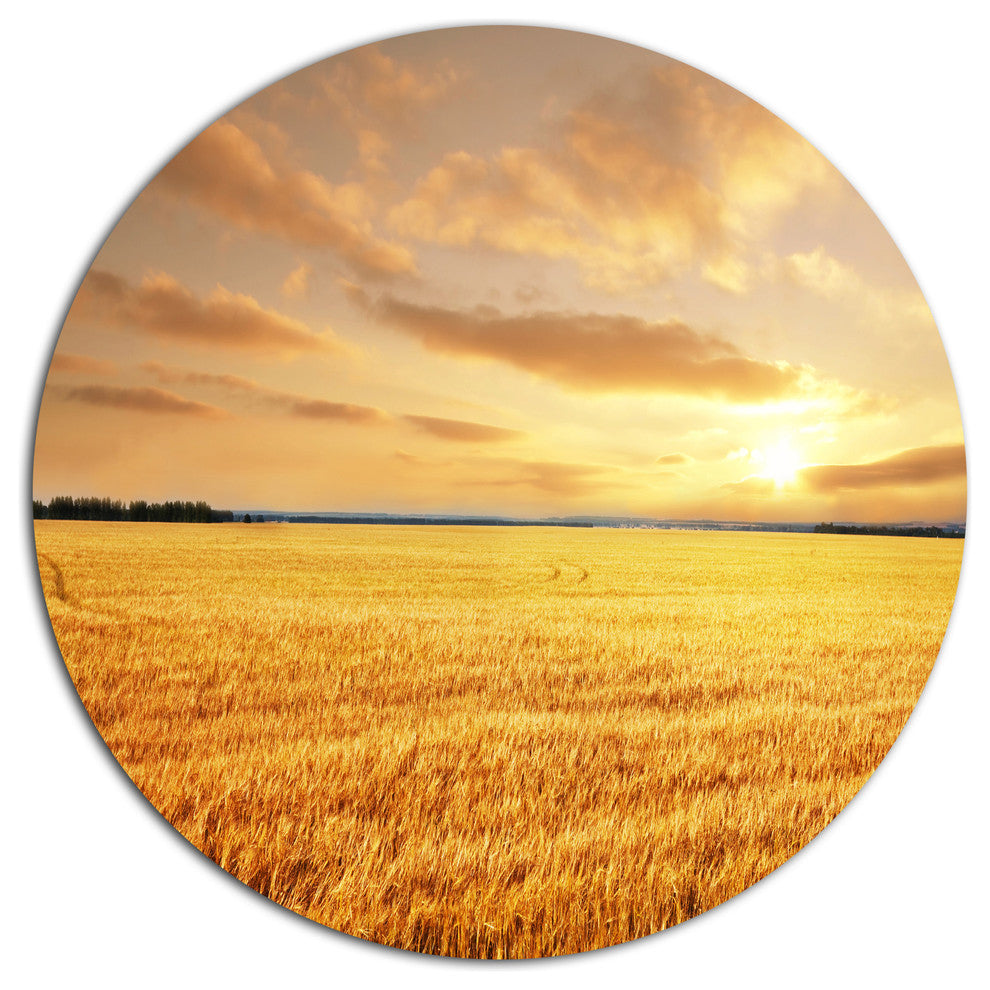 Field Under Cloudy Sky, Landscape Disc Metal Artwork, 11"